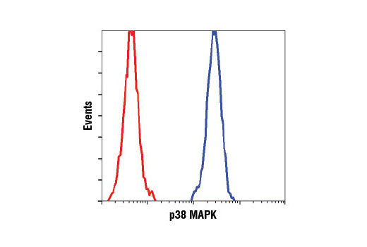 Flow cytometric analysis of HeLa cells using p38 MAPK (D13E1) XP ® Rabbit mAb (blue) compared to concentration-matched Rabbit (DA1E) mAb IgG XP ® Isotype Control #3900 (red).