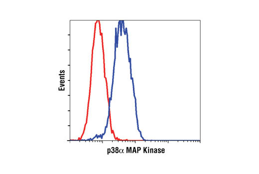 Flow cytometric analysis of Jurkat cells, using p38α MAPK (L53F8) Mouse mAb (blue) compared to a nonspecifc negative control antibody (red).