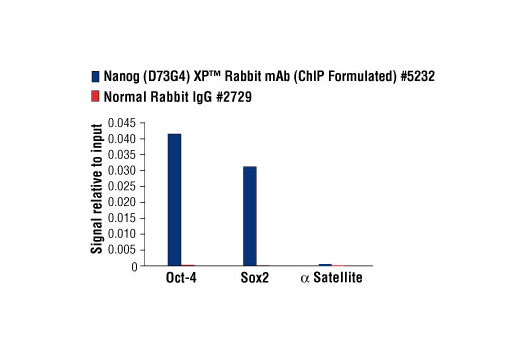 Chromatin immunoprecipitations were performed with cross-linked chromatin from 4 x 10 6 NCCIT cells and either 10 μl of Nanog (D73G4) XP ® Rabbit mAb (ChIP Formulated) or 2 μl of Normal Rabbit IgG #2729 using SimpleChIP ® Enzymatic Chromatin IP Kit (Magnetic Beads) #9003. The enriched DNA was quantified by real-time PCR using SimpleChIP ® Human Oct-4 Promoter Primers #4641, SimpleChIP ® Human Sox2 Promoter Primers #4649, and SimpleChIP ® Human α Satellite Repeat Primers #4486. The amount of immunoprecipitated DNA in each sample is represented as signal relative to the total amount of input chromatin, which is equivalent to one.