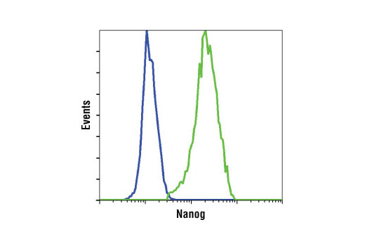 Flow cytometric analysis of HeLa cells (blue) and NTERA-2 cells (green) using Nanog (D73G4) XP ® Rabbit mAb.