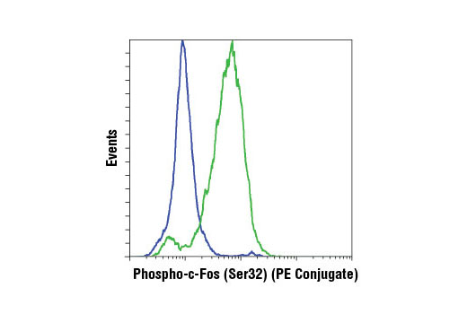  Flow cytometric analysis of HeLa cells, untreated (blue) or treated with TPA #4174 (green), using Phospho-c-Fos (Ser32) (D82C12) XP® Rabbit mAb (PE Conjugate).