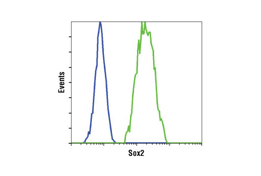 Flow cytometric analysis of HeLa cells (blue) and NTERA2 cells (green) using Sox2 (D6D9) XP ® Rabbit mAb.