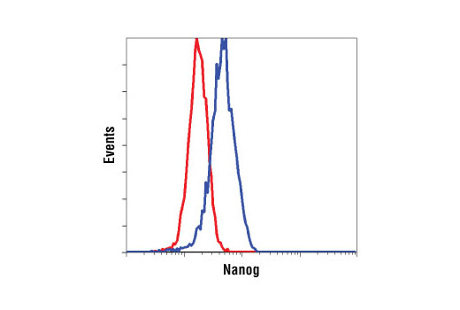 Flow cytometric analysis of HeLa cells (red) and NTERA2 cells (blue) using Nanog (1E6C4) Mouse mAb.