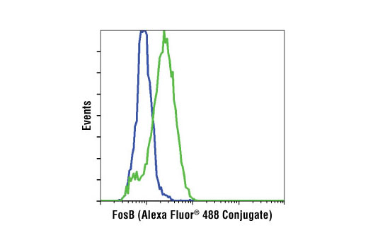  Flow cytometric analysis of HeLa cells, untreated (blue) or treated with TPA (green), using FosB (5G4) Rabbit mAb (Alexa Fluor® 488 Conjugate).