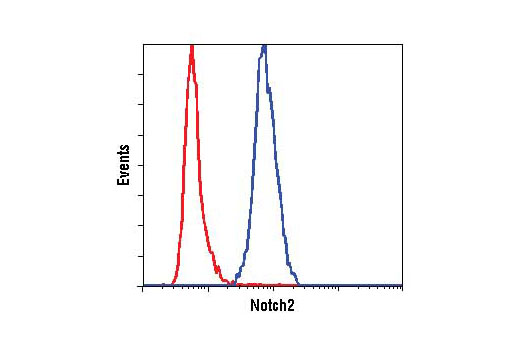 Flow cytometric analysis of SW620 (red) and 293 (blue) cells using Notch2 (D76A6) XP ® Rabbit mAb.