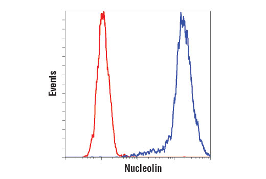 Flow cytometric analysis of HeLa cells using Nucleolin (D4C7O) Rabbit mAb (blue) compared to concentration-matched Rabbit (DA1E) mAb IgG XP ® Isotype Control #3900 (red). Anti-rabbit IgG (H+L), F(ab') 2 Fragment (Alexa Fluor ® 488 Conjugate) #4412 was used as a secondary antibody.