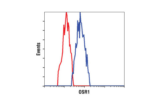 Flow cytometric analysis of HeLa cells using OSR1 Antibody (blue) compared to a nonspecific negative control antibody (red).