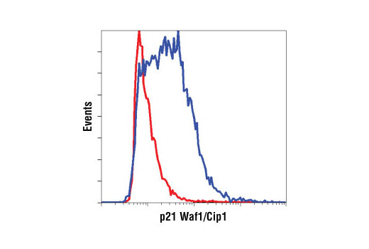Flow cytometric analysis of HeLa cells (red) and MCF7 cells (blue), using p21 Waf1/Cip1 (12D1) Rabbit mAb.