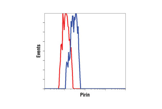 Flow cytometric analysis of HeLa cells, using Pirin (1E8) Rat mAb (blue) compared to a nonspecific negative control antibody (red).