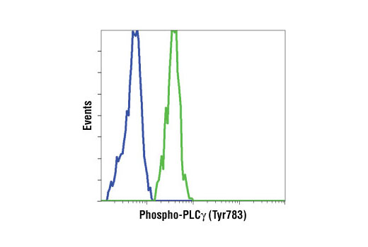 Flow cytometric analysis of NIH3T3 cells, untreated (blue) or PDGF treated (green), using Phospho-PLCγ1 (Tyr783) Antibody.