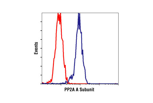 Flow cytometric analysis of NIH/3T3 cells, using PP2A A Subunit Antibody (blue) compared to a nonspecifc negative control antibody (red).