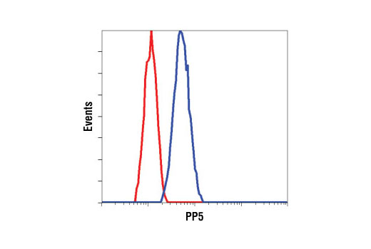 Flow cytometric analysis of HeLa cells, using PP5 Antibody (blue) compared to a nonspecific negative control antibody (red).