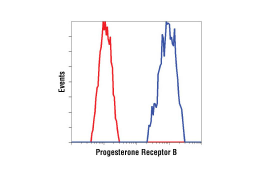 Flow cytometric analysis of T-47D cells using Progesterone Receptor B Receptor (C1A2) Rabbit mAb (blue) compared to a nonspecific negative control antibody (red).