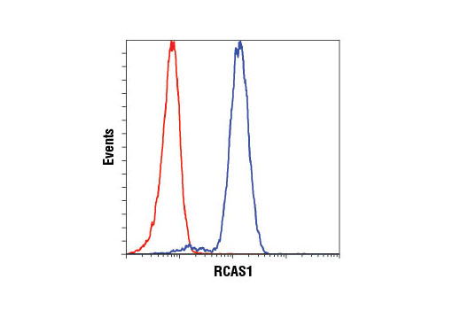 Flow cytometric analysis of Jurkat cells using RCAS1 (D2B6N) XP ® Rabbit mAb (blue) compared to concentration-matched Rabbit (DA1E) mAb IgG XP ® Isotype Control #3900 (red).