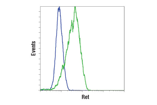 Flow cytometric analysis of TT cells (green) and HeLa cells (blue) using Ret (E1N9A) Rabbit mAb (Flow Preferred). Anti-rabbit IgG (H+L), F(ab') 2 Fragment (Alexa Fluor ® 488 Conjugate) #4412 was used as a secondary antibody.
