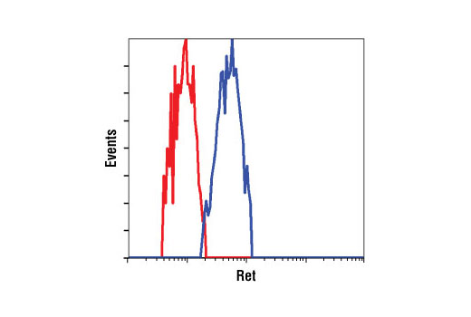 Flow cytometric analysis of TT cells using Ret (C31B4) Rabbit mAb (blue) compared to a nonspecific negative control antibody (red).