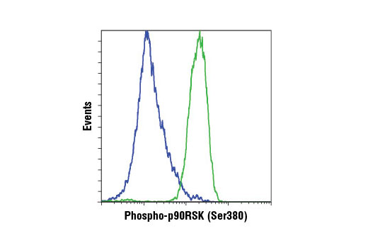 Flow cytometric analysis of Jurkat cells, untreated (blue) or treated with TPA #4174 (green), using Phospho-p90RSK (Ser380) (D5D8) Rabbit mAb. Anti-rabbit IgG (H+L), F(ab') 2 Fragment (Alexa Fluor ® 647 Conjugate) #4414 was used as a secondary antibody.