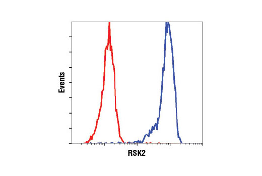 Flow cytometric analysis of HeLa cells using RSK2 (D21B2) XP ® Rabbit mAb (blue) compared to Rabbit (DA1E) mAb IgG XP ® Isotype Control #3900 (red).