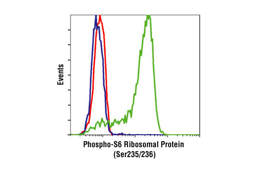 Flow cytometric analysis of Jurkat cells, untreated (green), or LY294002, Wortmannin and U0126-treated (blue), using Phospho-S6 Ribosomal Protein (Ser235/236) (2F9) Rabbit mAb compared to a nonspecific negative control antibody (red).