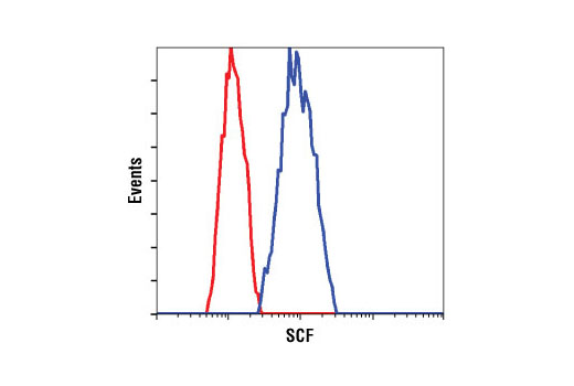 Flow cytometric analysis of U-87 MG cells using SCF (C19H6) Rabbit mAb (blue) compared to a nonspecific negative control antibody (red).