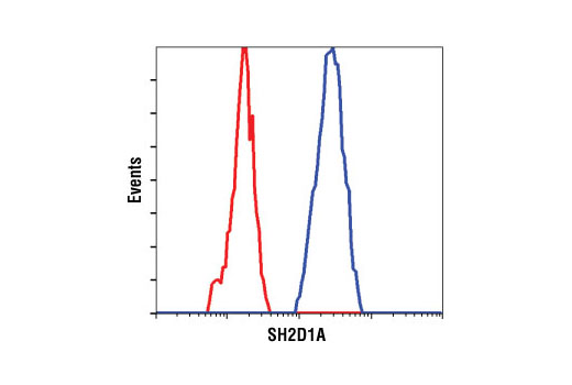 Flow cytometric analysis of Jurkat cells using SH2D1A (XLP 1D12) Rat mAb (blue) compared to a nonspecific negative control antibody (red).