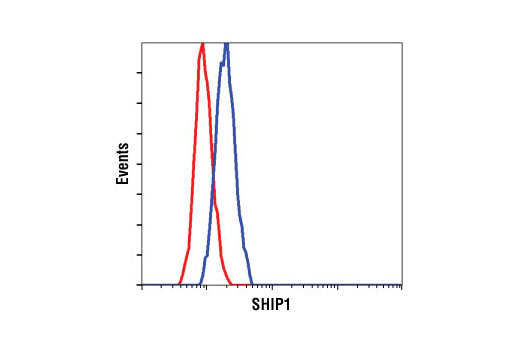 Flow cytometric analysis of RL cells, using SHIP1 (P290) Antibody (blue) compared to a nonspecific negative control antibody (red).