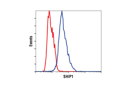 Flow cytometric analysis of Jurkat cells (red) and RL cells (blue) using SHIP1 (C40G9) Rabbit mAb.