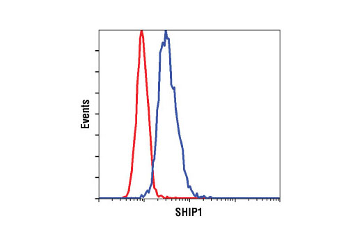 Flow cytometric analysis of Jurkat cells (red) and RL cells (blue) using SHIP1 (C15C9) Rabbit mAb.