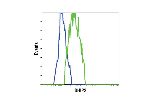 Flow cytometric analysis of Jurkat (blue) and HeLa cells (green) using SHIP2 (C76A7) Rabbit mAb.