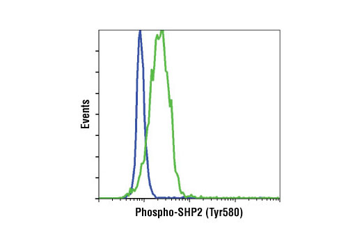 Flow cytometric analysis of NIH/3T3 cells, untreated (blue) or PDGF-treated (green), using Phospho-SHP-2 (Tyr580) (D66F10) Rabbit mAb.