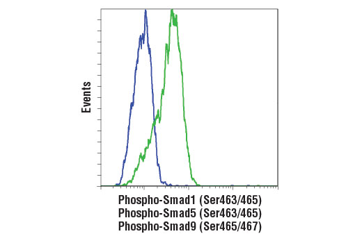 Flow cytometric analysis of HT-1080 cells, untreated (blue) or treated with Human BMP2 #4697 (green), using Phospho-Smad1 (Ser463/465)/ Smad5 (Ser463/465)/ Smad9 (Ser465/467) (D5B10) Rabbit mAb. Anti-rabbit IgG (H+L), F(ab') 2 Fragment (Alexa Fluor ® 488 Conjugate) #4412 was used as a secondary antibody.