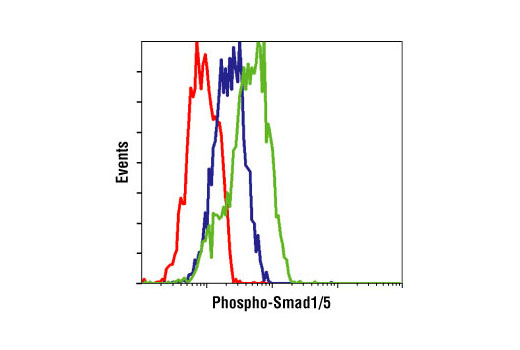 Flow cytometric analysis of HeLa cells, untreated (blue) or BMP-treated (green), using Phospho-Smad1/5 (Ser463/465) (41D10) Rabbit mAb compared to a nonspecific negative control antibody (red).