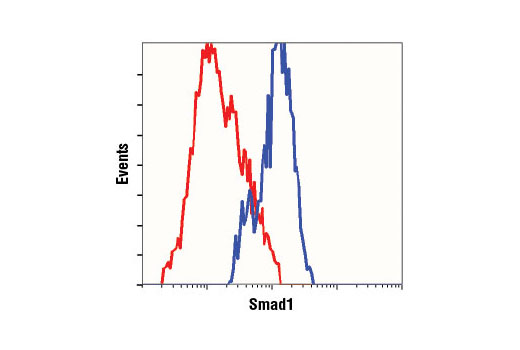 Flow cytometric analysis of HT-1080 cells using Smad1 (D59D7) XP ® Rabbit mAb (blue) compared to a nonspecific negative control antibody (red).