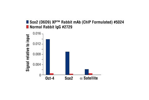 Chromatin immunoprecipitations were performed with cross-linked chromatin from 4 x 10 6 NCCIT cells and either 10 μl of Sox2 (D6D9) XP ® Rabbit mAb (ChIP Formulated) or 2 μl of Normal Rabbit IgG #2729 using SimpleChIP ® Enzymatic Chromatin IP Kit (Magnetic Beads) #9003. The enriched DNA was quantified by real-time PCR using SimpleChIP ® Human Oct-4 Promoter Primers #4641, SimpleChIP ® Human Sox2 Promoter Primers #4649, and SimpleChIP ® Human α Satellite Repeat Primers #4486. The amount of immunoprecipitated DNA in each sample is represented as signal relative to the total amount of input chromatin, which is equivalent to one.