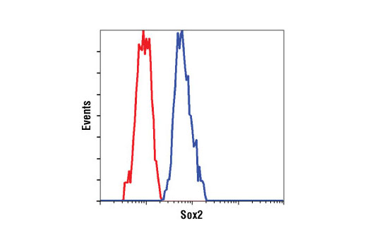 Flow cytometric analysis of HeLa (red) and NTERA-2 cells (blue) using Sox2 (L1D6A2) Mouse mAb.