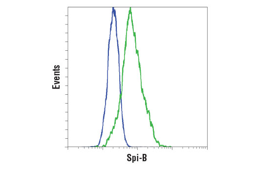 Flow cytometric analysis of Jurkat cells (blue) and Raji cells (green) using Spi-B (D3C5E) Rabbit mAb. Anti-rabbit IgG (H+L), F(ab') 2 Fragment (Alexa Fluor ® 488 Conjugate) #4412 was used as a secondary antibody.