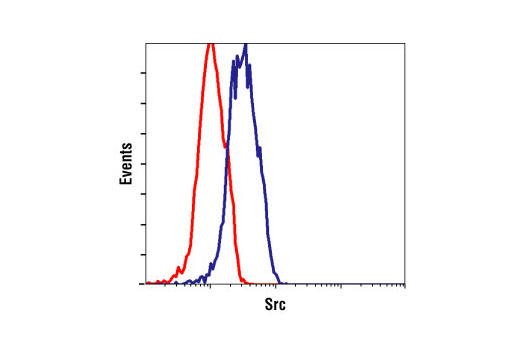 Flow cytometric analysis of Jurkat cells, using Src Antibody (blue) compared to a nonspecifc negative control antibody (red).