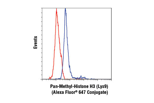  Flow cytometric analysis of Jurkat cells using Pan-Methyl-Histone H3 (Lys9) (D54) XP® Rabbit mAb (Alexa Fluor® 647 Conjugate) (blue) compared to Rabbit (DA1E) mAb IgG XP® Isotype Control (Alexa Fluor® 647 Conjugate) #2985 (red).