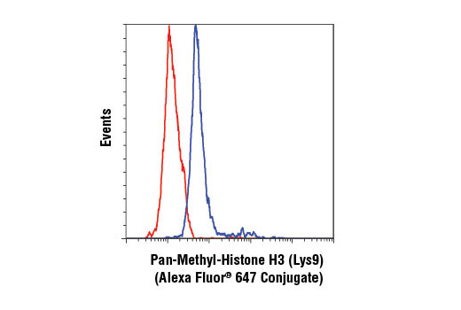 Flow cytometric analysis of Jurkat cells using Pan-Methyl-Histone H3 (Lys9) (D54) XP® Rabbit mAb (Alexa Fluor® 647 Conjugate) (blue) compared to Rabbit (DA1E) mAb IgG XP® Isotype Control (Alexa Fluor® 647 Conjugate) #2985 (red).