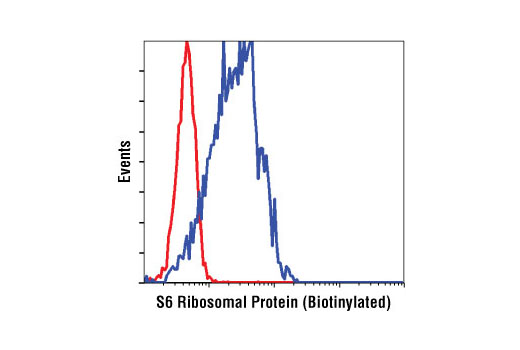 Flow cytometric analysis of NIH/3T3 cells, using S6 Ribosomal Protein (54D2) Mouse mAb (Biotinylated) (blue) compared to concentration matched Mouse mAb (MOPC-21) IgG1 Isotype control (Biotinylated) #4097 (red).