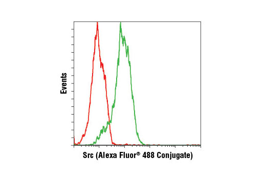 Flow cytometric analysis of MCF7 cells using Src (36D10) Rabbit mAb (Alexa Fluor® 488 Conjugate) (green) compared to concentration-matched Rabbit (DA1E) mAb IgG XP® Isotype Control (Alexa Fluor® 488 Conjugate) #2975 (red).