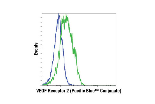 Flow cytometric analysis of HeLa (blue) and HUVE (green) cells using VEGF Receptor 2 (D5B1) Rabbit mAb (Pacific Blue™ Conjugate).
