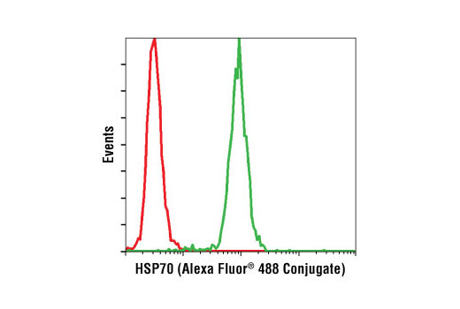 Flow cytometric analysis of HeLa cells using HSP70 (D69) Antibody (Alexa Fluor® 488 Conjugate) (green) compared to XP® Rabbit (DA1E) mAb IgG Isotype Control (Alexa Fluor® 488 Conjugate) #2975 (red).