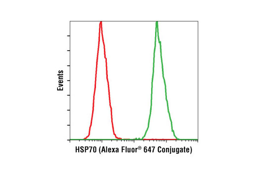 Flow cytometric analysis of HeLa cells using HSP70 (D69) Antibody (Alexa Fluor® 647 Conjugate) (green) compared to the XP® Rabbit (DA1E) mAb IgG Isotype Control (Alexa Fluor® 647 Conjugate) #2985 (red).