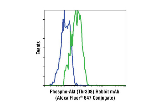 Flow cytometric analysis of NIH-3T3 cells, untreated (blue), or PDGF-treated (green), using Phospho-Akt (Thr308) (C31E5E) Rabbit mAb (Alexa Fluor® 647 Conjugate).