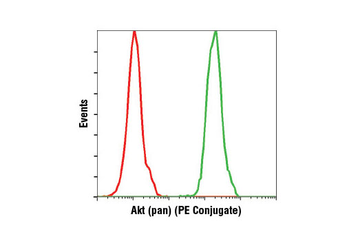  Flow cytometric analysis of Jurkat cells using Akt (pan) (C67E7) Rabbit mAb (PE Conjugate) (green) compared to concentration-matched Rabbit (DA1E) mAb IgG XP® Isotype Control (PE Conjugate) #5742 (red).