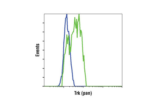 Flow cytometric analysis of NIH/3T3 cells, untransfected (blue) or TrkA transfected (green), using Trk (pan) (C17F1) Rabbit mAb.