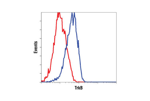 Flow cytometric analysis of NIH/3T3 cells, untransfected (red) or TrkB transfected (blue), using TrkB (80G2) Rabbit mAb.