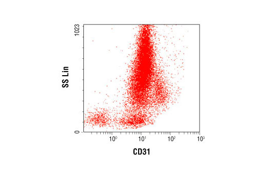 Flow cytometric analysis of whole blood using CD31 (158-2B3) Mouse mAb.