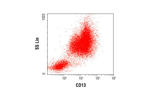 Flow cytometric analysis of whole blood, using CD13 (B-F10) Mouse mAb.